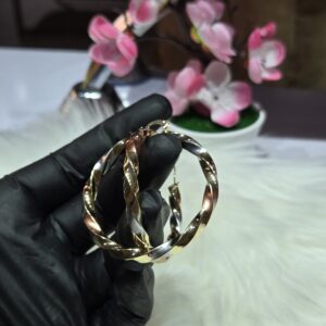 Alternative view of The "Orbital Luxury"